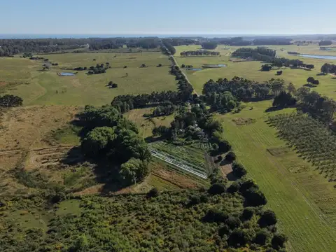 Chacra en venta 6 Hectáreas