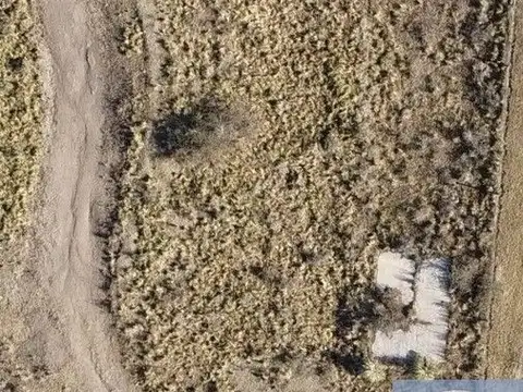 Tu oportunidad de recuperar el tiempo