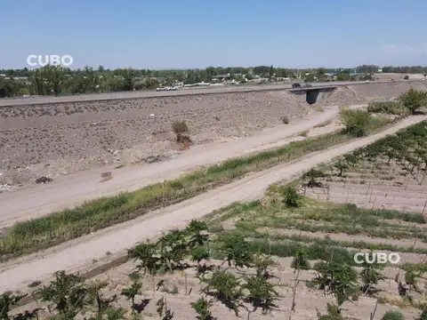 CUBO VENDE Finca de 7,5 hectareas ubicada en Rodeo de la Cruz - Mendoza