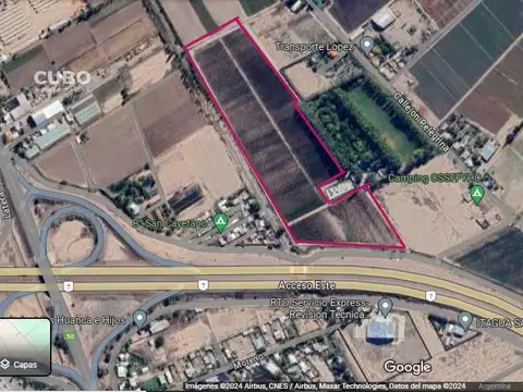CUBO VENDE Finca de 7,5 hectareas ubicada en Rodeo de la Cruz - Mendoza