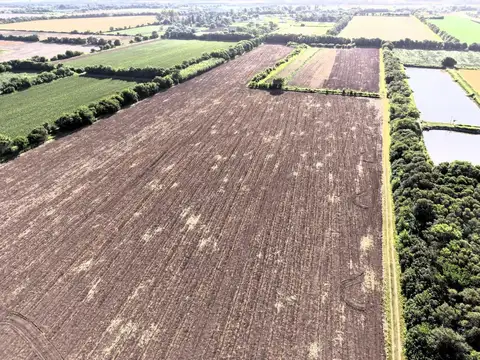 VENTA CAMPO 11 HAS CAMINO 60 CUADRAS KM 11 Y MEDIO