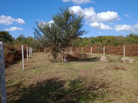 Terreno en Venta de 581,0 m2