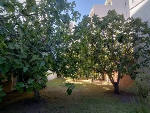 Terreno en Venta 31,80  mts Fondo
