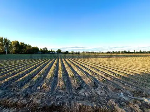 Terreno en Venta de 6,0 m2