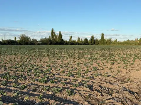 Century21 López ofrece a la venta Finca en Rodeo del Medio, Maipú.
