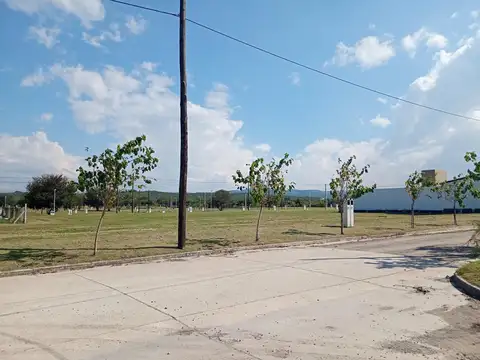 Terreno en Venta 24  mts Fondo