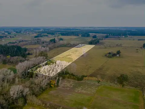 Venta de campo 3Ha. en Rincon de Pando, Canelones