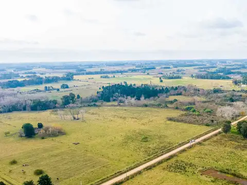 Venta de campo 3Ha. en Rincon de Pando, Canelones