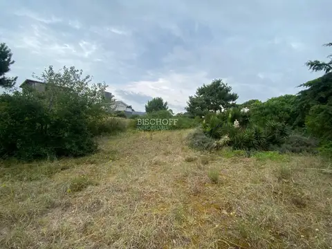 CALLE 311 ENTRE ALAMEDA 207 Y 206 BIS