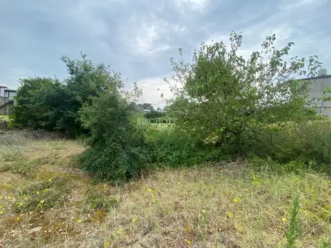 CALLE 311 ENTRE ALAMEDA 207 Y 206 BIS