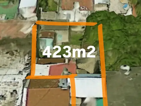 General Pedro Díaz 100