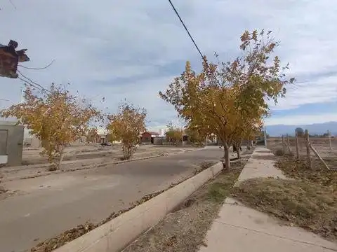 Terreno en Venta 10  mts Frente