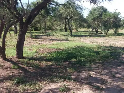 Terreno en Venta 44  mts Fondo
