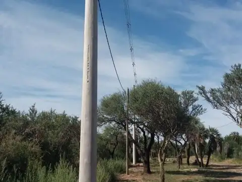 Cortaderas, loteo Campos de Elvira, lotes de  m2