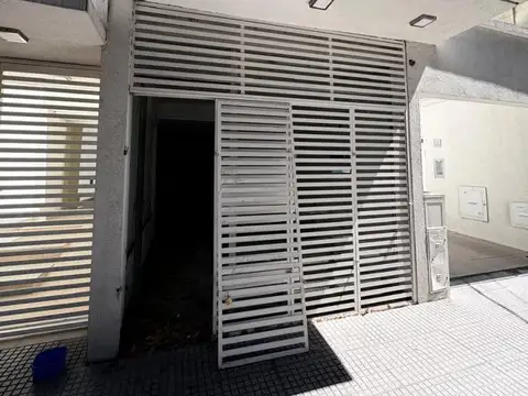 Ameghino