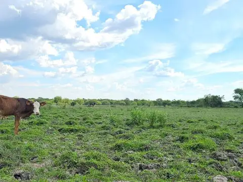 CAMPO EN VENTA ZONA RURAL FORTIN OLMOS