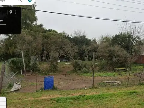 EL OMBU ENTRE EL ESPINILLO Y EL ALGARROBO