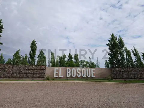 LOTE EL BOSQUE II
