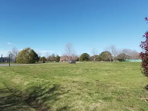 Terreno en Venta 50  mts Fondo