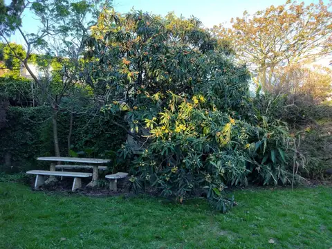 Terreno en Venta 26  mts Fondo
