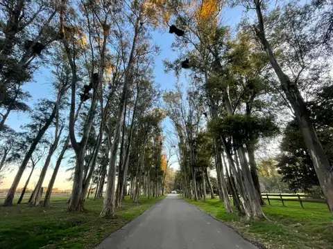 LOTE EN VENTA EN HARAS SAN PABLO