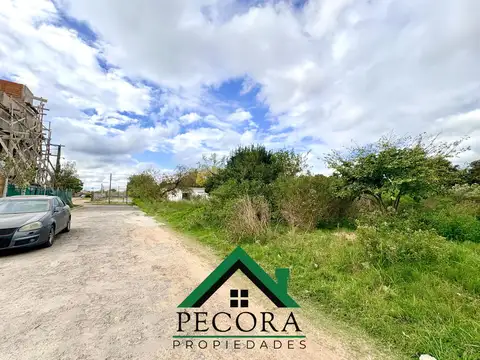 Terreno en Venta 28  mts Fondo