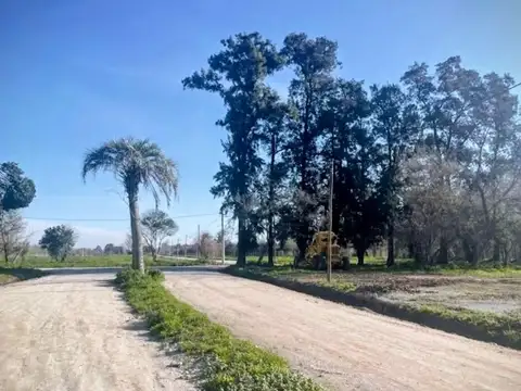 Terreno en Venta de 255,0 m2