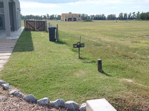 Ruta 6 km 142 Villa de Campo Tres Pinos 200