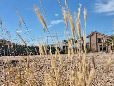 Terreno en Venta en General Gutiérrez, USD 15.500