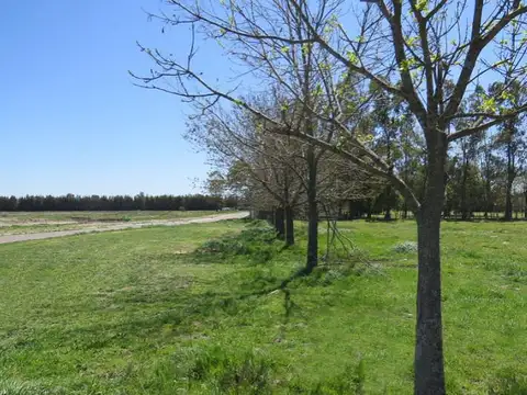 Terreno en Venta en Santa Ines, USD 72.000