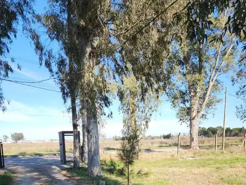 Terreno en Venta 25  mts Fondo
