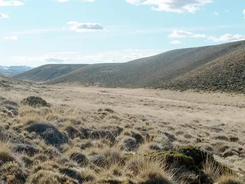 Río Belgrano, Cordillera Santa Cruz,
