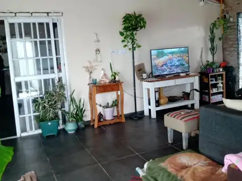 Palmeras 100