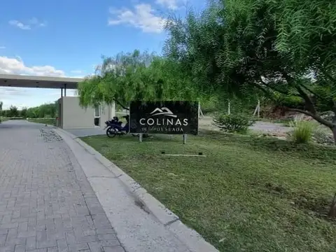 Colinas De La Deseada 100