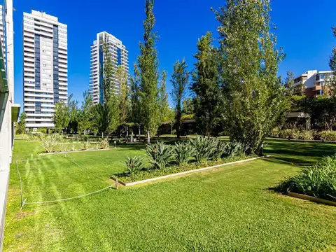 Condominios del Alto II