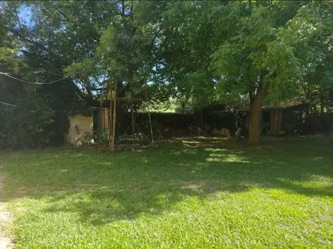 EINSTEIN, ALBERTO 5900