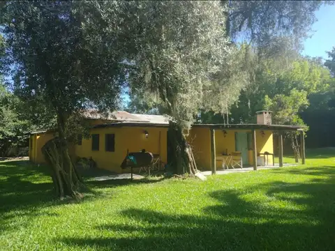 EINSTEIN, ALBERTO 5900