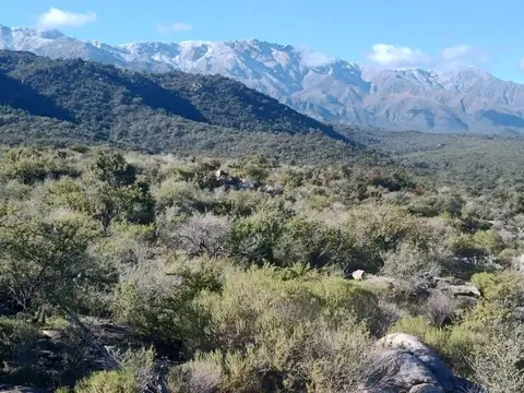 Loteo Villa de las Rosas Las Chacras con agua