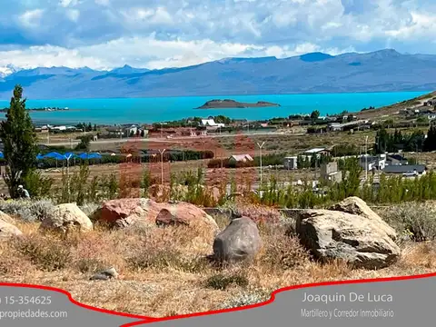 Dr. Silvia Maiza 200