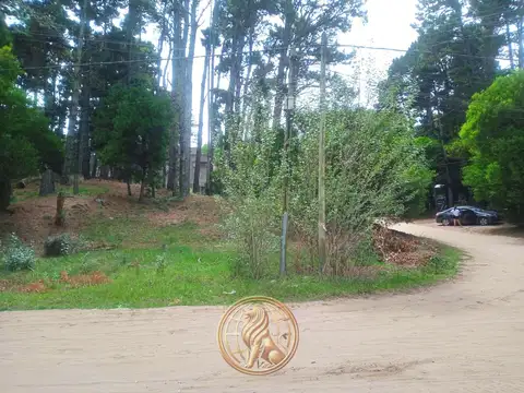 Calle 36 y Calle Necochea