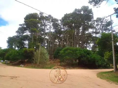 Terreno en Venta de 258,0 m2