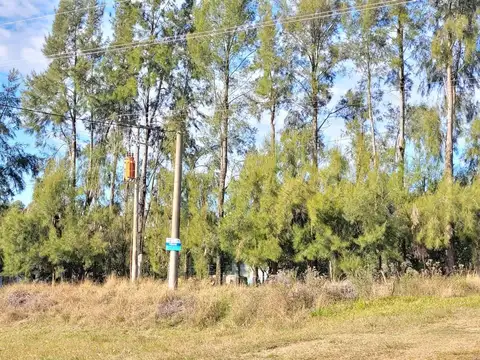 Acceso A Puerto Yeruá