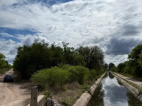 Campo en Venta Agrícola