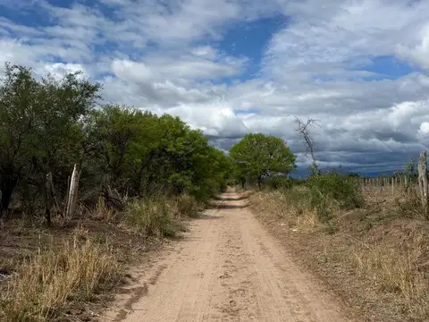 Campo en Venta con Alambrado