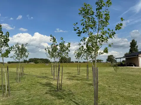 Casa en Venta en Estancia Benquerencia Farm Club, USD 350.000