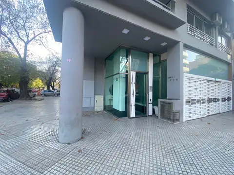 MARTÍN RODRIGUEZ al 1600