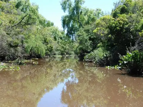 Terreno Lote  en Venta en Delta, Tigre, G.B.A. Zona Norte