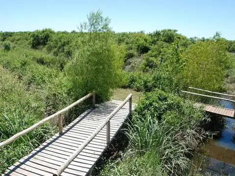 Terreno en Venta de 12353,0 m2