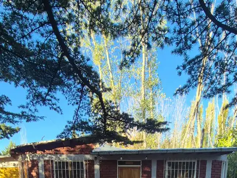 Ruta Panamericana (Proveeduria de Leones) 100