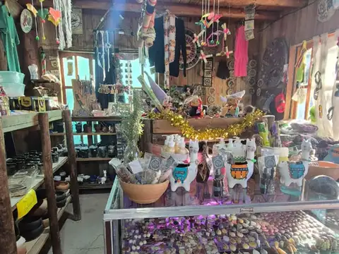 VENTA LOCAL COMERCIAL Y CASA S/RUTA  82–CACHEUTA